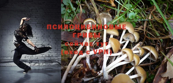 стафф Абдулино