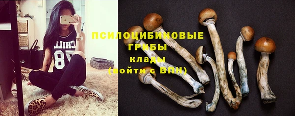 спайс Абаза